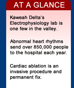 heart facts visalia